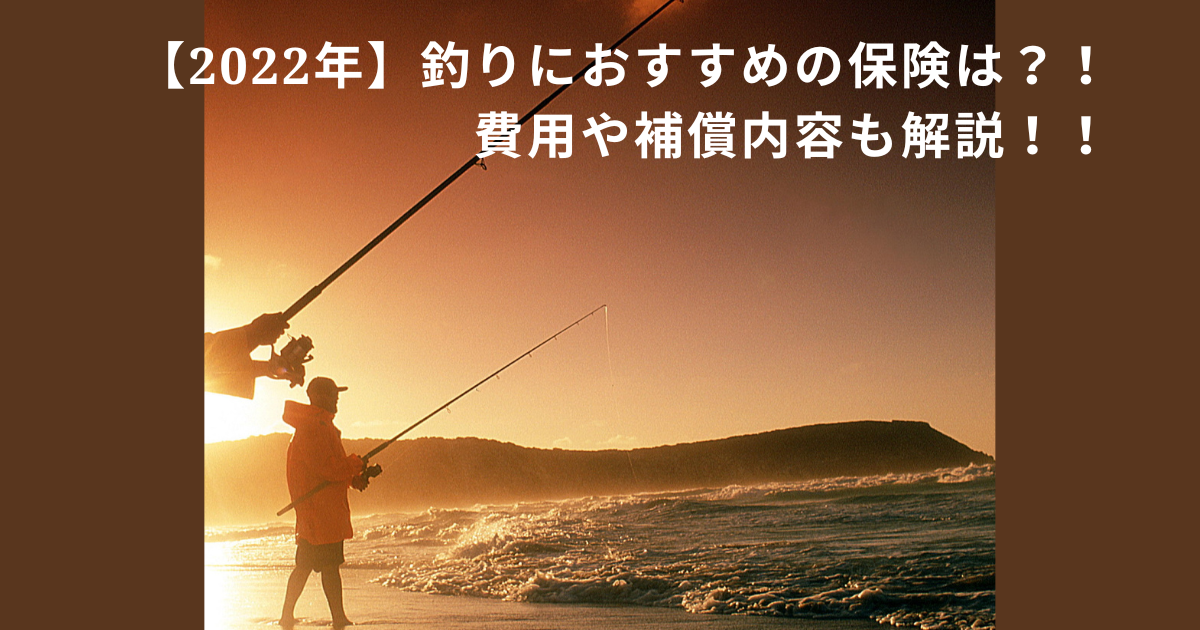 23年 釣り保険で釣具も補償される 保険料や補償範囲は セロタクブログ